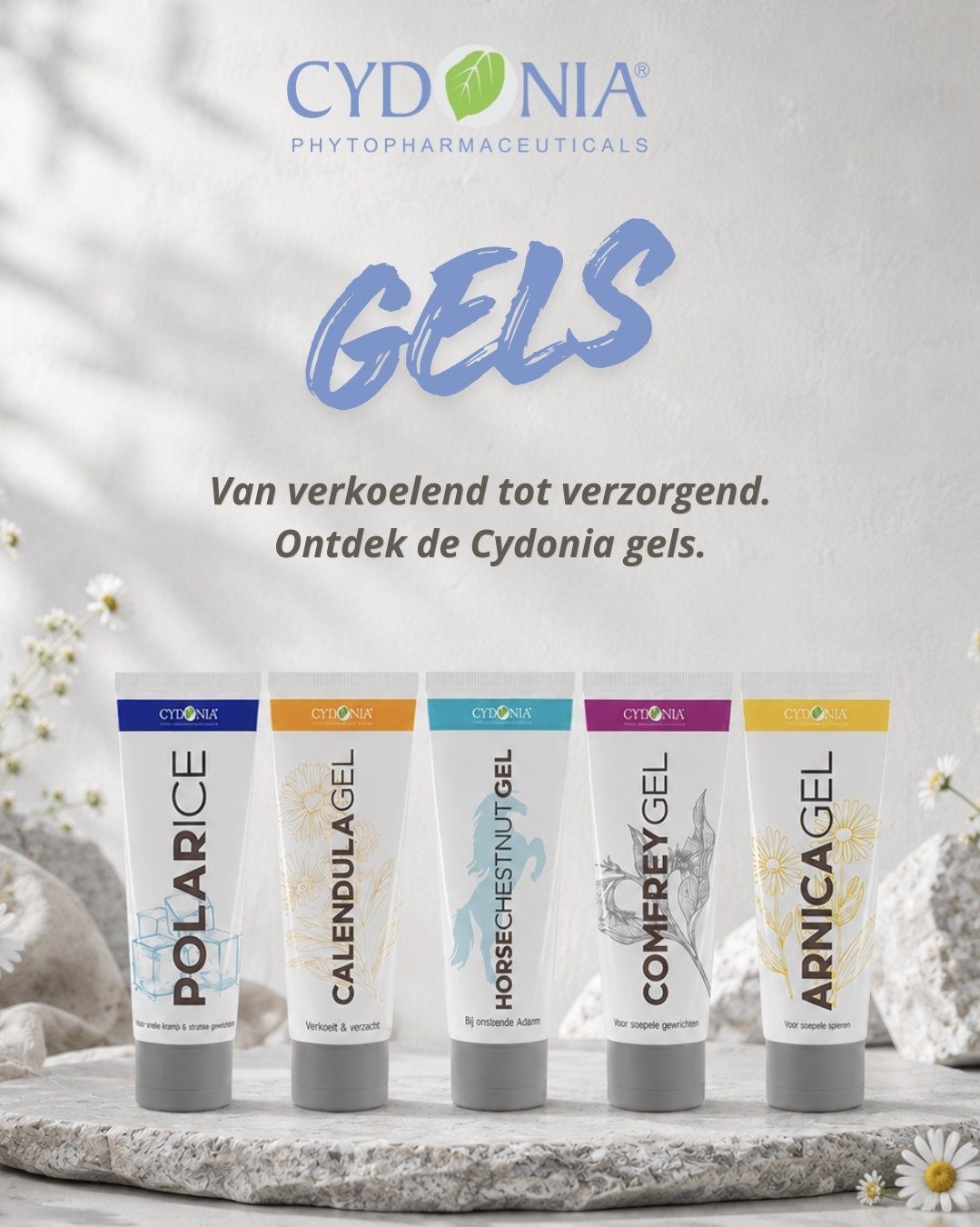 Cydonia Arnica Gel