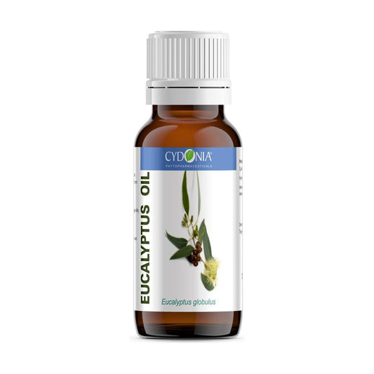 Eucalyptus Olie