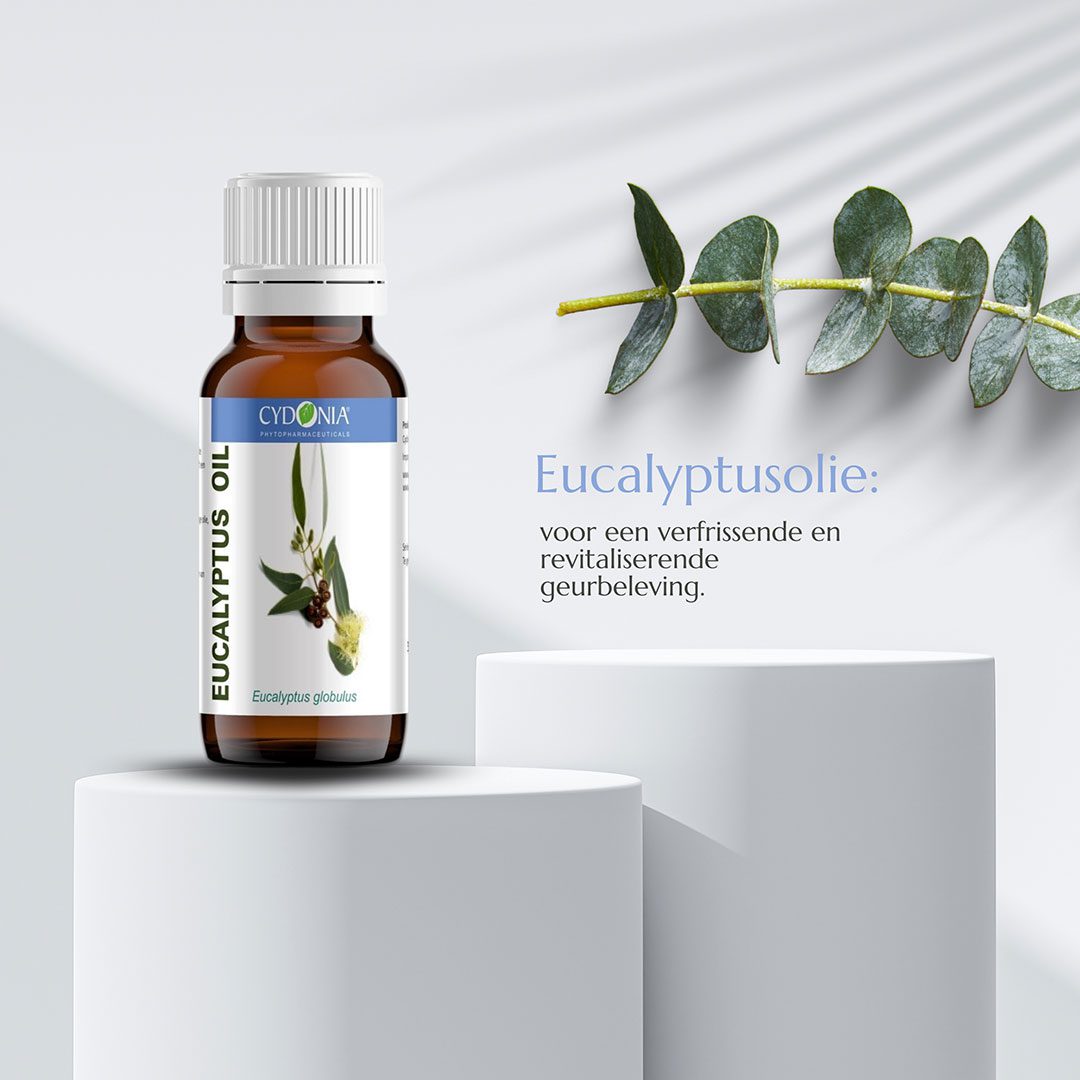 Eucalyptus Olie