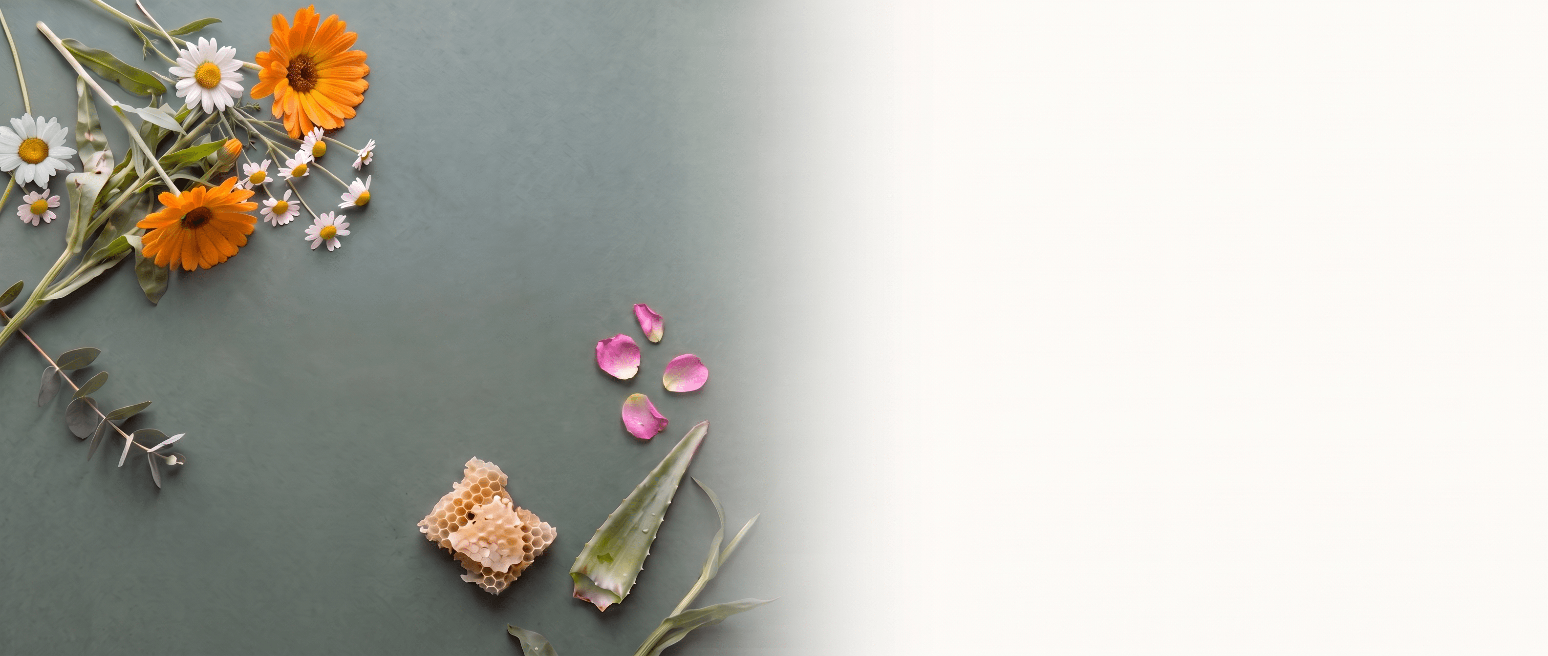 Botanische ingrediënten op een natuurlijke ondergrond